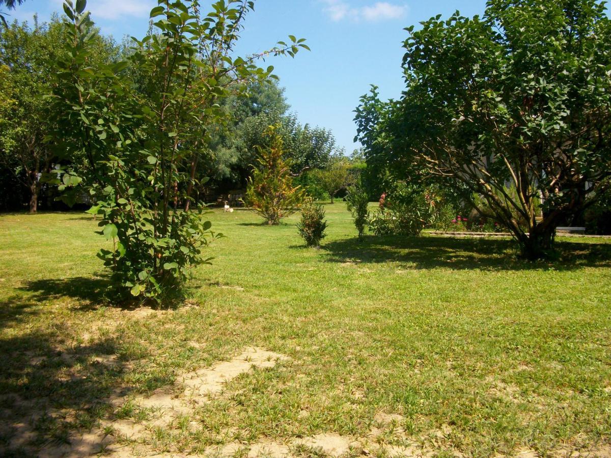 Domaine De Monein Bed & Breakfast Saint-Andre-de-Cubzac Luaran gambar