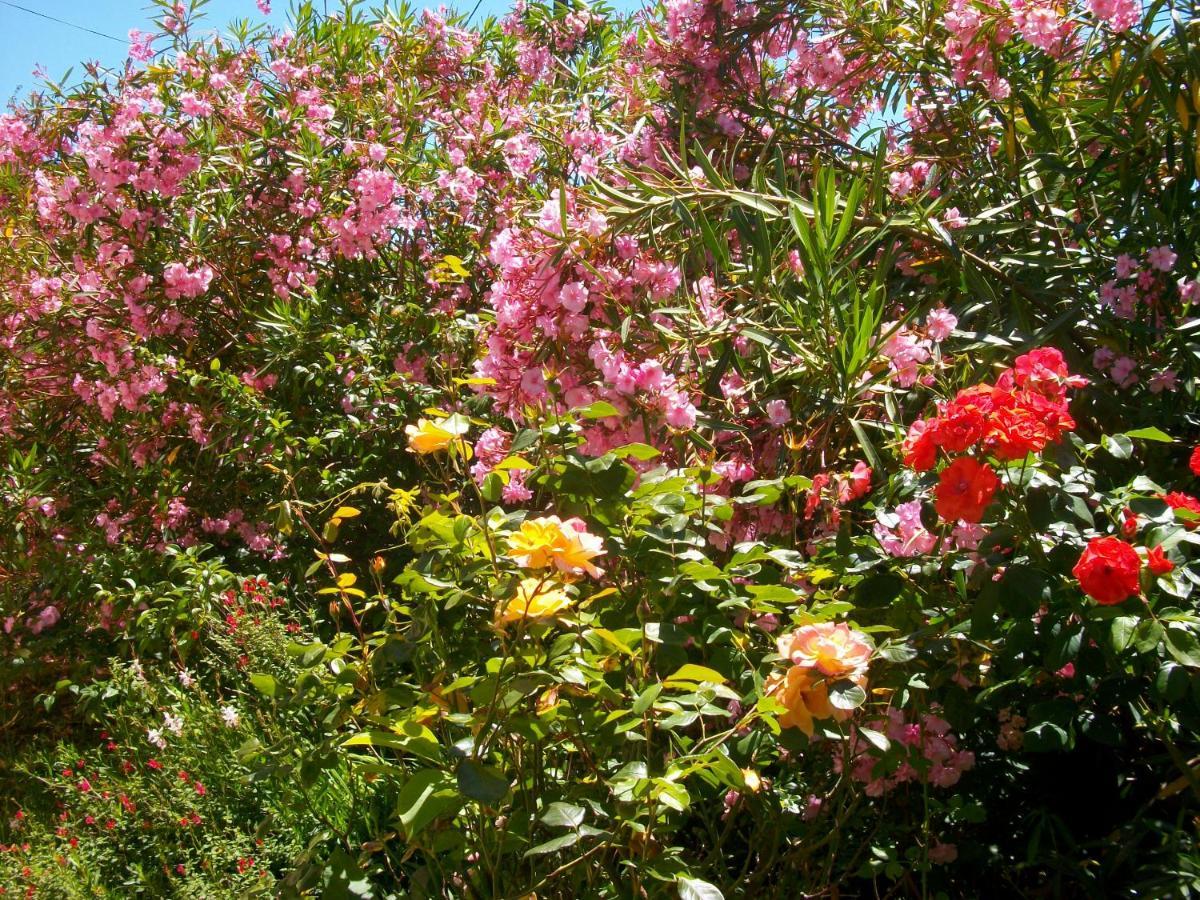 Domaine De Monein Bed & Breakfast Saint-Andre-de-Cubzac Luaran gambar