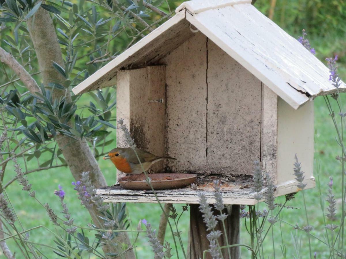 Domaine De Monein Bed & Breakfast Saint-Andre-de-Cubzac Luaran gambar